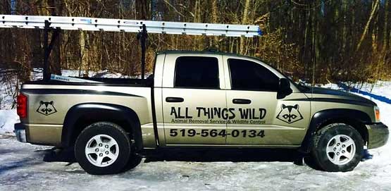 all things wild truck